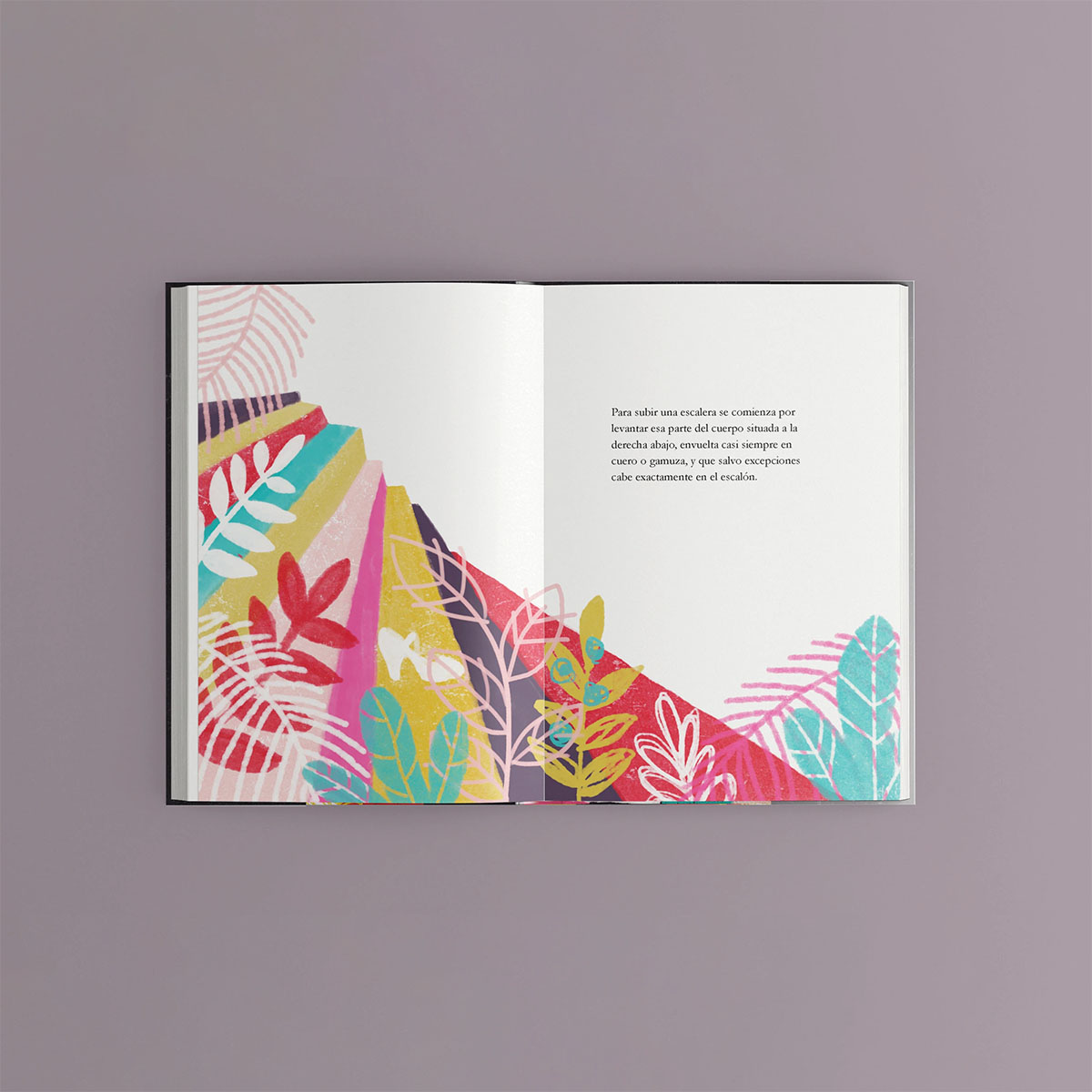 Pages of Instrucciones para subir una escalera