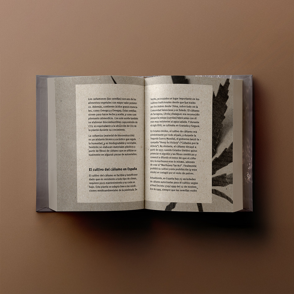 Pages of De materiales y otras cosas